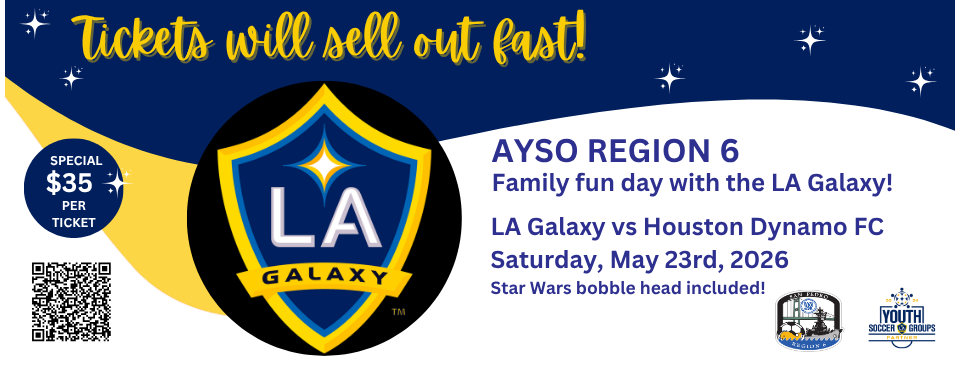 LA Galaxy Family Fun Night